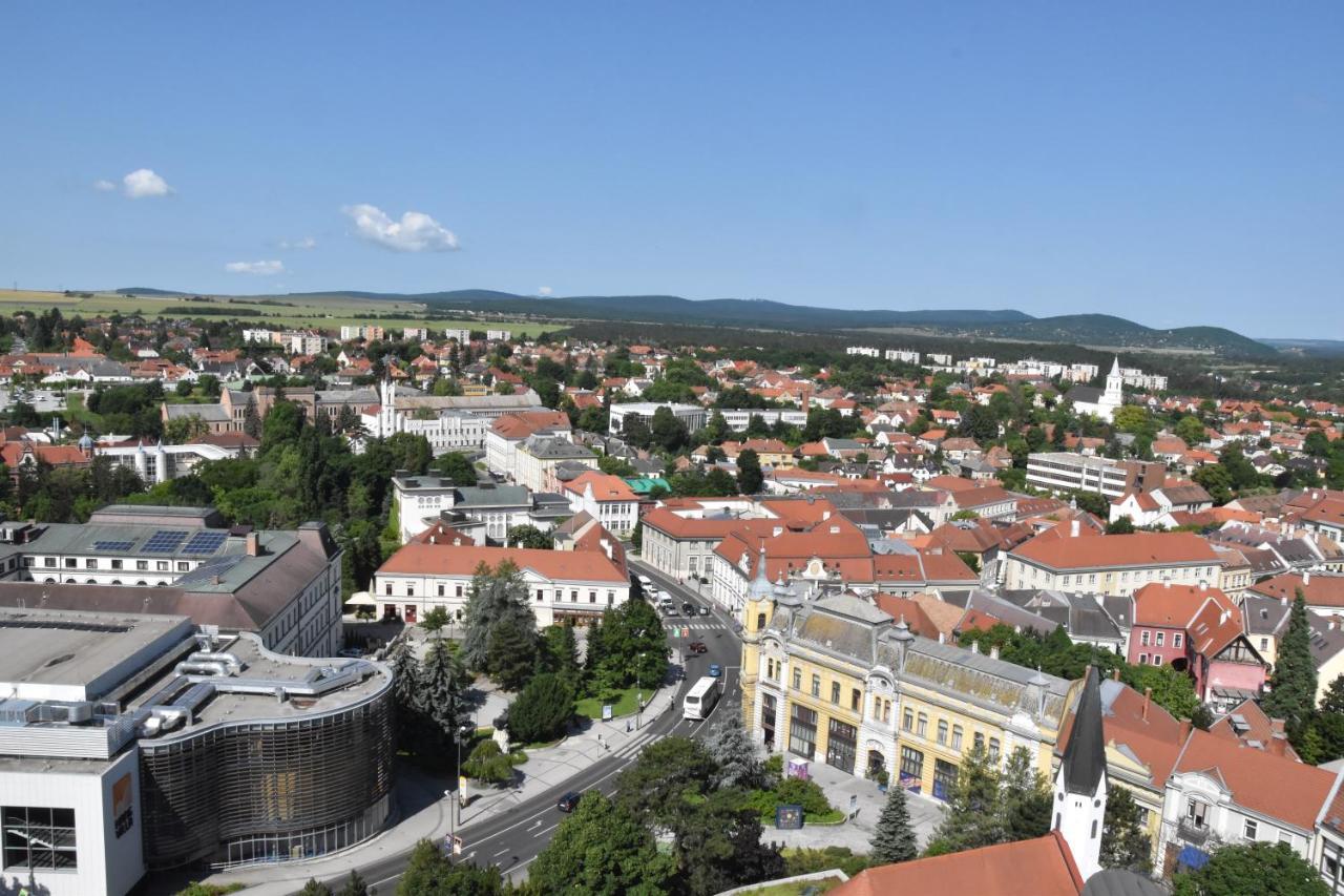 Panorama View Apartment Veszprém Buitenkant foto